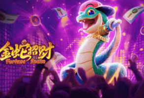 星空综合app手机版