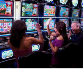 星空综合app手机版