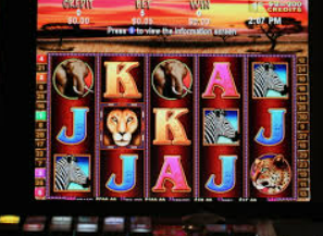 星空综合app客户端