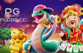 星空综合app免费版