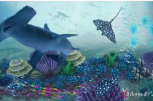 星空综合app免费版