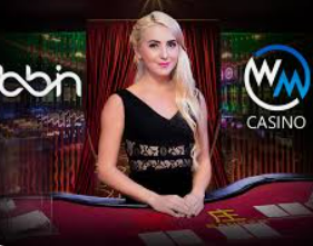 星空综合app2024最新版