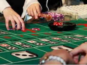 星空综合app客户端