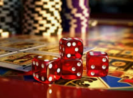 星空综合app电脑免费版